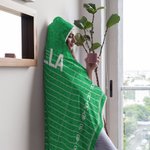 Personalized Baseball Basketball Ball Field Soft Hooded Blanket with Name Team Game Day Birthday Gift for Sports Lovers