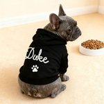 Cadeau d'anniversaire pour l'adoption d'un animal de compagnie Cadeau d'anniversaire pour l'adoption d'un animal de compagnie Cadeau d'anniversaire pour l'adoption d'un animal de compagnie Cadeau d'an