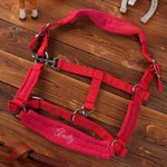 Funda protectora de muserola para cabestro personalizada con nombre bordado Regalo de cumpleaños ecuestre para propietarios de caballos Jinetes