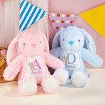Personalised Cute Peter Rabbit Plush Easter Bunny Stuffed Toy with Initial and Name Easter Gift for Newborns Kids
