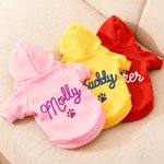 Cadeau d'anniversaire pour l'adoption d'un animal de compagnie Cadeau d'anniversaire pour l'adoption d'un animal de compagnie Cadeau d'anniversaire pour l'adoption d'un animal de compagnie Cadeau d'an