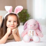 Personalized My First Easter Bib Peter Rabbit Cute Plush Stuffed Animal Toy with Name and Year Easter Gift for Kids Newborns Babies