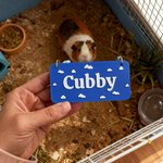 Personalisiertes Multicolor 3D-gedrucktes Namensschild Kleintierkäfig Namensschild für Meerschweinchen Kaninchen Hamster Chinchillas Geburtstagsgeschenk für Tierliebhaber