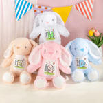 Jouet en peluche lapin de Pâques Peter Rabbit personnalisé avec nom Cadeau de Pâques pour nouveau-nés enfants