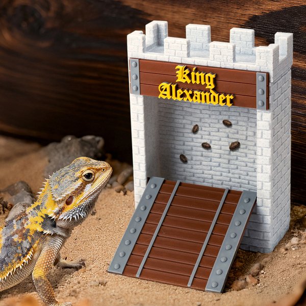 Personalised 3D Printed Castle Stone Wall Bridge Feeder Box with Text Reptile Habitat Adoption Anniversary Gift for Lizard Reptile Owners