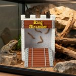 Personalised 3D Printed Castle Stone Wall Bridge Feeder Box with Text Reptile Habitat Adoption Anniversary Gift for Lizard Reptile Owners