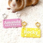 Personalisiertes Multicolor 3D-gedrucktes Namensschild Kleintierkäfig Namensschild für Meerschweinchen Kaninchen Hamster Chinchillas Geburtstagsgeschenk für Tierliebhaber