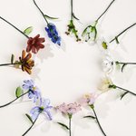 Fleur de naissance en verre personnalisée Décoration d'intérieur Anniversaire Anniversaire Fête des mères Cadeau pour femmes