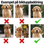 Personliga bekväma strumpor med roliga foton perfekt anpassade för vardagsbruk som julklapp till par familjer och husdjursägare