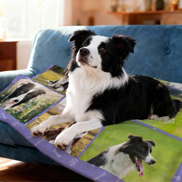 Personlig mångfärgad tassavtryck 8 foton mjuk husdjursfilt med namn husdjurstillbehör födelsedagspresent för husdjursälskare