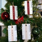Gepersonaliseerde architecturale schaal liniaal ornament met naam boom decor waardevol instrument kerst verjaardag Gift voor architecten studenten