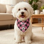 Personalised Multicolour Plaid Cartoon Soft Pet Bandana with Pet Name and Text Pet Wear Christmas Birthday Gift for Pet Owners Lovers