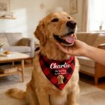 Personalised Multicolour Plaid Cartoon Soft Pet Bandana with Pet Name and Text Pet Wear Christmas Birthday Gift for Pet Owners Lovers