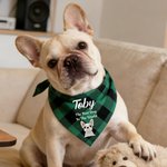 Personalised Multicolour Plaid Cartoon Soft Pet Bandana with Pet Name and Text Pet Wear Christmas Birthday Gift for Pet Owners Lovers