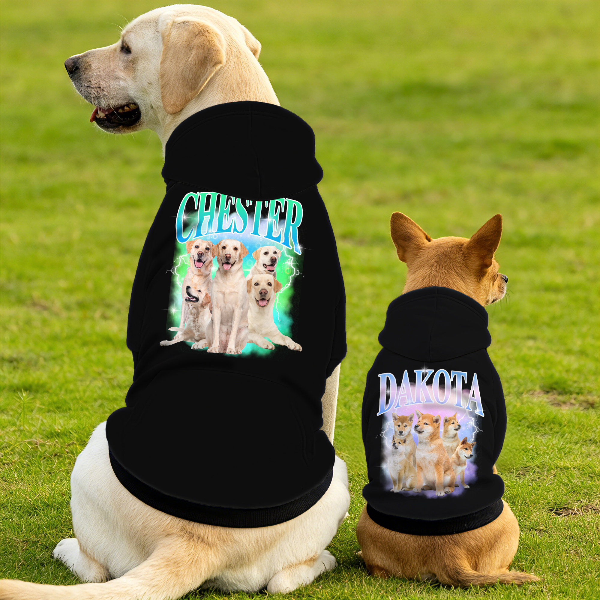 Personnalisé Lightning 5 Pet Photos Soft Warm Puppy Dog Hoodie Clothes with Name Adoption Anniversary Birthday Gift for Dog Lover Pet Owner