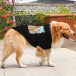 Personalised Lightning 5 Pet Photos Soft Warm Puppy Dog Hoodie Clothes with Name Adoption Anniversary Birthday Gift for Dog Lover Pet Owner