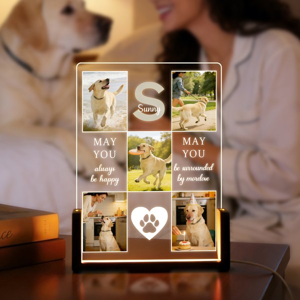 Personalized 5 Pet Photos Acrylic LED Night Light with Name Home Decor Remembrance In Loving Memory Sympathy Gift for Pet Lovers Owners