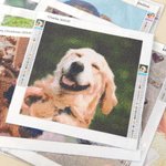 Personalized DIY Resin Diamond Photo Painting Kit Room Decor Christmas Birthday Anniversary Gift for Family Couple Pet Lover