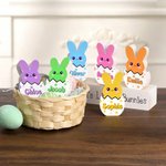 Personalized Multicolor Easter Bunny Plaque Ornament with Name Desk Decoration Basket Stuffer Easter Party Gift for Family