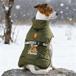 Personalized Cute Dog Winter Windproof Warm Jacket with Name Birthday Gift for Pet Owners