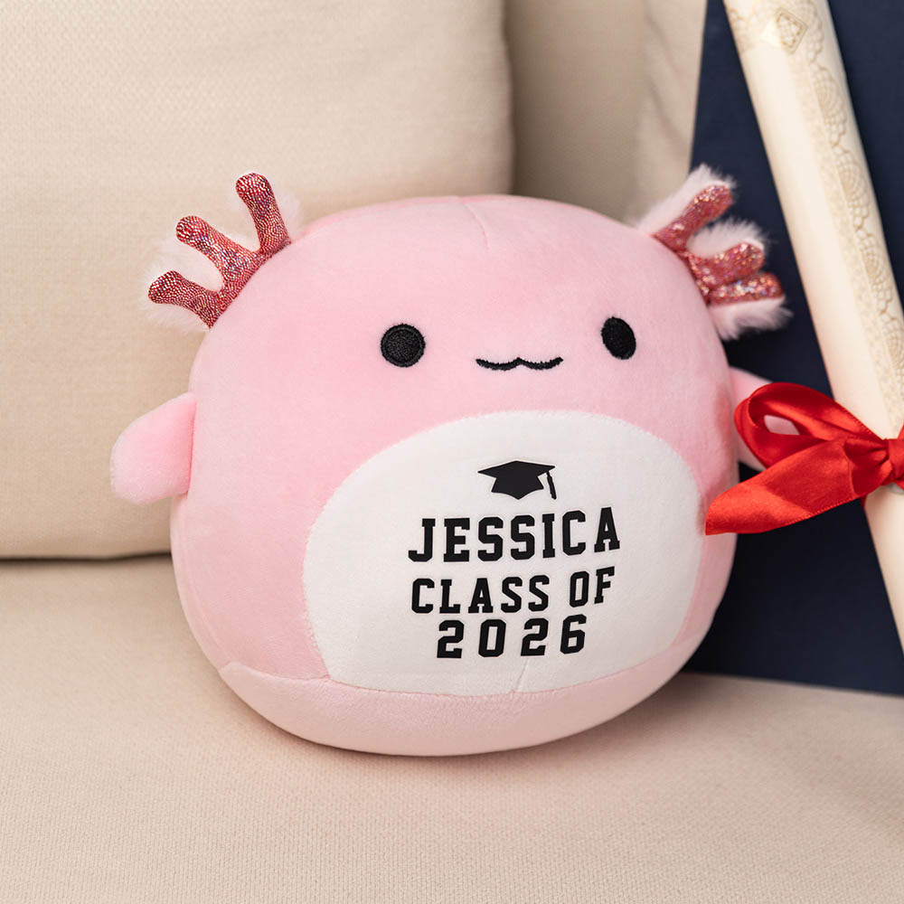 Jouet en peluche avec nom et année Cadeau de fin d'études pour les diplômés de la classe 2026