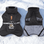 Personalized Cute Dog Winter Windproof Warm Jacket with Name Birthday Gift for Pet Owners