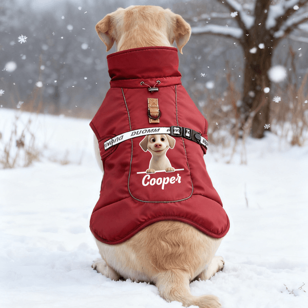 Personalized Cute Dog Winter Windproof Warm Jacket with Name Birthday Gift for Pet Owners
