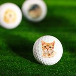 Pelota de golf con impresión fotográfica