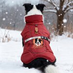 Personalisierte Hund Porträt Winter warmen winddichten Mantel mit Namen Outdoor-Reise Geburtstag Geschenk für Tierliebhaber Haustierbesitzer