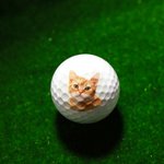 Pelota de golf con impresión fotográfica