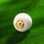 Pelota de golf con impresión fotográfica