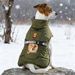 Personalisierte Hund Porträt Winter warmen winddichten Mantel mit Namen Outdoor-Reise Geburtstag Geschenk für Tierliebhaber Haustierbesitzer