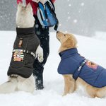 Personalisierte Hund Porträt Winter warmen winddichten Mantel mit Namen Outdoor-Reise Geburtstag Geschenk für Tierliebhaber Haustierbesitzer