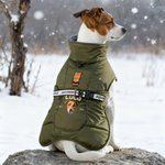 Personalized Funny Face Photo Adjustable Dog Coat Jacket with Name and Year Pet Supplies Winter Daily Use Pet Party Gift for Dog Owners Lovers
