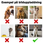 Personlig flerfärgad långärmad pyjamas set för husdjursälskare och ägare med text perfekt som födelsedagspresent