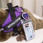 Personalized Emotional Support Soft Otter Stuffed Animal with Name Companionship Birthday Gift for Family Friend