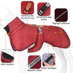 Personalized Funny Face Photo Adjustable Dog Coat Jacket with Name and Year Pet Supplies Winter Daily Use Pet Party Gift for Dog Owners Lovers