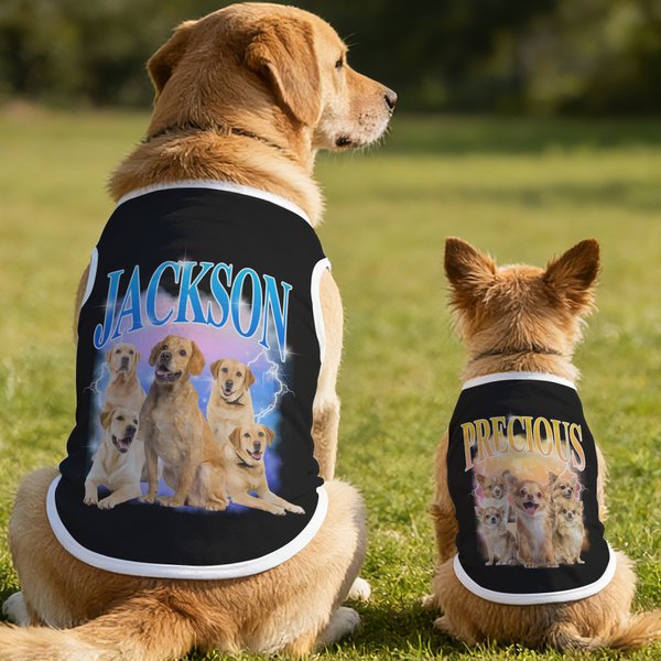 Personalized Lightning 5 Pet Photos 100% Cotton Soft Warm Pet Vest with Name Adoption Anniversary Birthday Gift for Pet Owners
