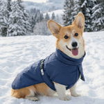 Personalized Cute Line Style Dog Pet Winter Windproof Jacket with Name Adoption Anniversary Birthday Gift for Pet Owners