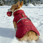 Personalized Cute Line Style Dog Pet Winter Windproof Jacket with Name Adoption Anniversary Birthday Gift for Pet Owners