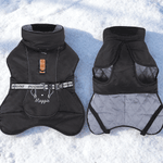 Personalized Cute Line Style Dog Pet Winter Windproof Jacket with Name Adoption Anniversary Birthday Gift for Pet Owners