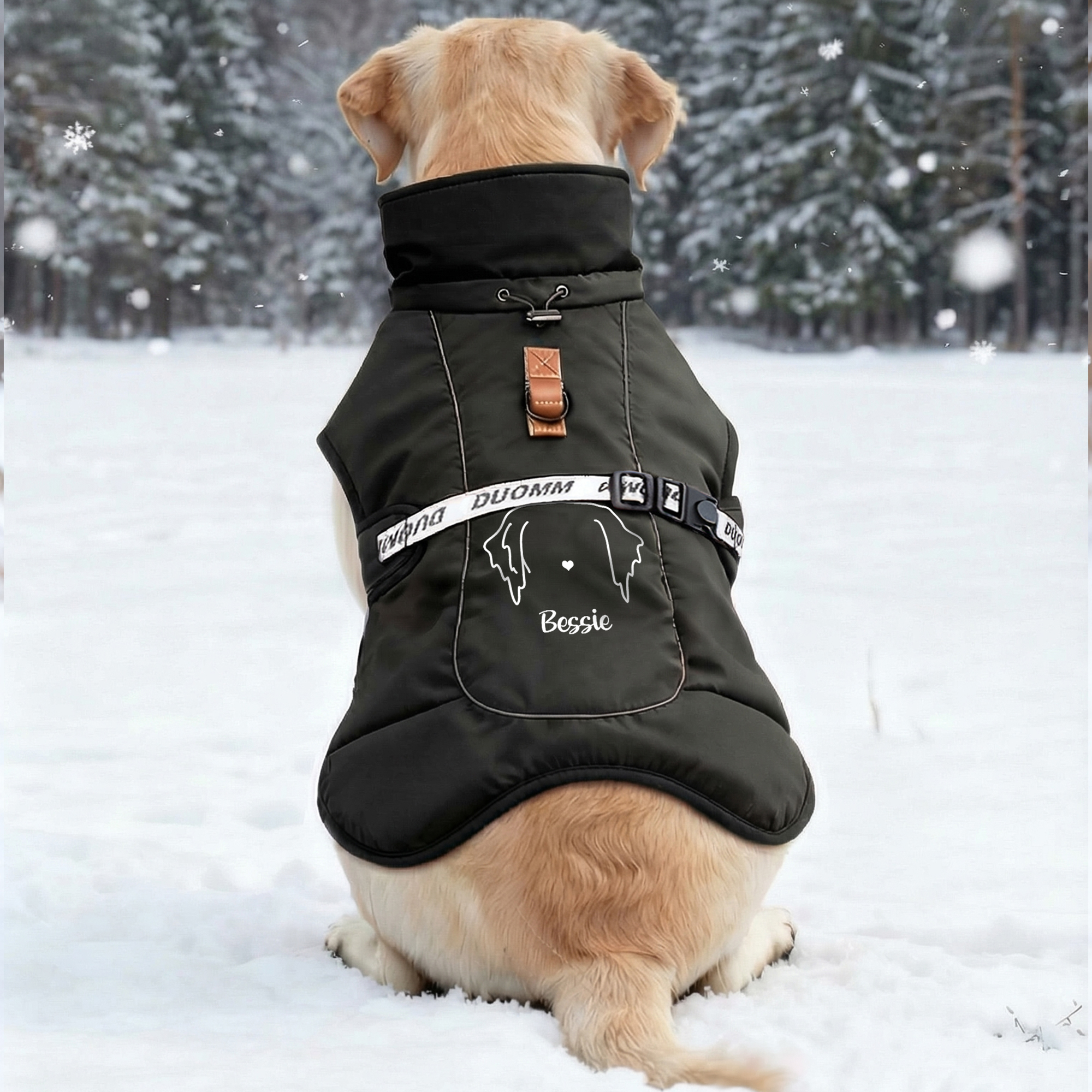 Veste d'hiver coupe-vent pour chien personnalisée avec nom Cadeau d'adoption, d'anniversaire et de naissance pour les propriétaires d'animaux de compagnie