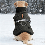 Personalized Cute Line Style Dog Pet Winter Windproof Jacket with Name Adoption Anniversary Birthday Gift for Pet Owners