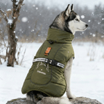 Personalized Cute Line Style Dog Pet Winter Windproof Jacket with Name Adoption Anniversary Birthday Gift for Pet Owners