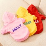 Personlig Flerfärgad Broderat Namn Mjuk Varm Hund Katt Hoodie Husdjurskläder Födelsedag Husdjur Adoption Dag Present för husdjursälskare Ägare
