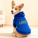 Personlig Flerfärgad Broderat Namn Mjuk Varm Hund Katt Hoodie Husdjurskläder Födelsedag Husdjur Adoption Dag Present för husdjursälskare Ägare