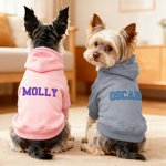 Personlig Flerfärgad Broderat Namn Mjuk Varm Hund Katt Hoodie Husdjurskläder Födelsedag Husdjur Adoption Dag Present för husdjursälskare Ägare