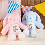 Personalized Cute Peter Rabbit Plush Easter Bunny Butterfly Stuffed Toy with Initial and Name Easter Gift for Newborn Kid