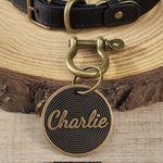 Personalisierte Vintage-Stil Runde Haustier Namensschild täglichen Gebrauch Haustier Party Geburtstag Geschenk für Tierbesitzer Liebhaber