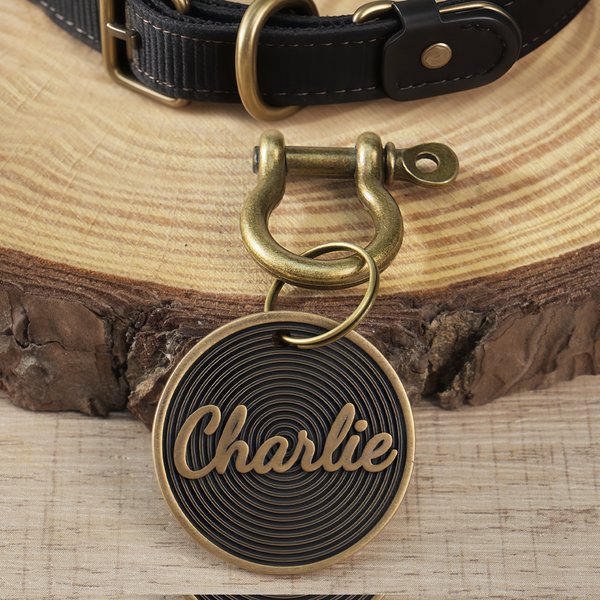 Personalisierte Vintage-Stil Runde Haustier Namensschild täglichen Gebrauch Haustier Party Geburtstag Geschenk für Tierbesitzer Liebhaber